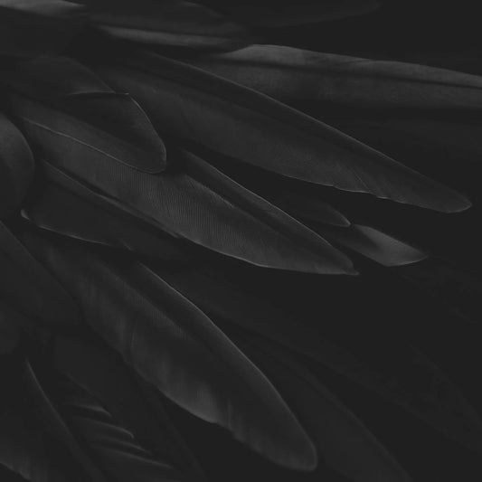 RAVEN GIFT CARD